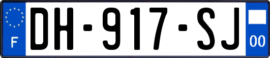 DH-917-SJ