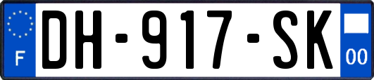 DH-917-SK