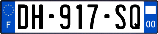 DH-917-SQ