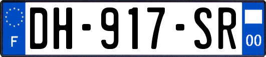DH-917-SR