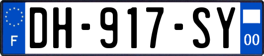 DH-917-SY