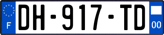 DH-917-TD