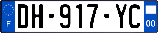 DH-917-YC