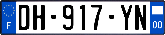 DH-917-YN