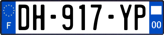 DH-917-YP