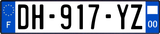 DH-917-YZ