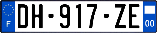 DH-917-ZE