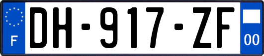 DH-917-ZF