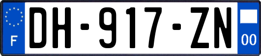 DH-917-ZN