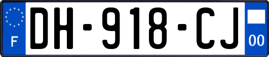 DH-918-CJ