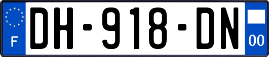 DH-918-DN