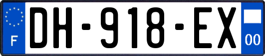 DH-918-EX