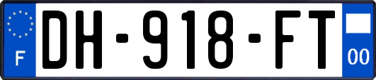 DH-918-FT