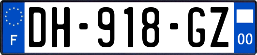 DH-918-GZ