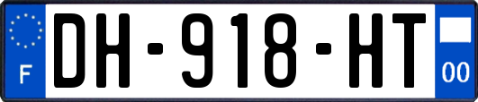 DH-918-HT