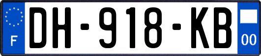 DH-918-KB
