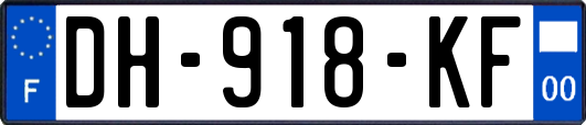 DH-918-KF