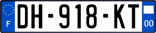 DH-918-KT