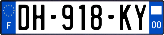 DH-918-KY