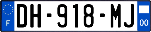DH-918-MJ