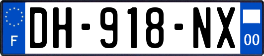 DH-918-NX