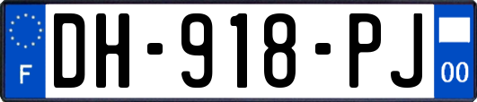 DH-918-PJ