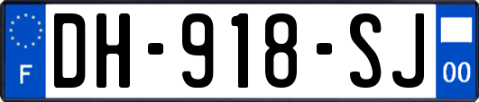 DH-918-SJ