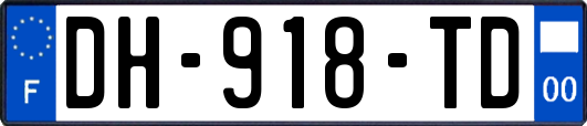 DH-918-TD