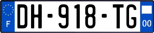 DH-918-TG