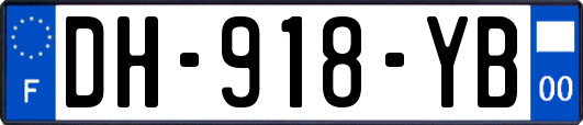DH-918-YB