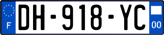 DH-918-YC