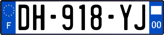 DH-918-YJ