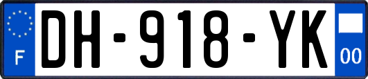 DH-918-YK