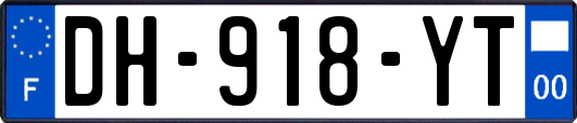 DH-918-YT
