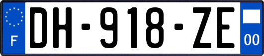 DH-918-ZE