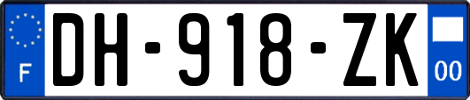 DH-918-ZK