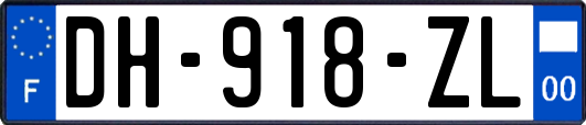 DH-918-ZL