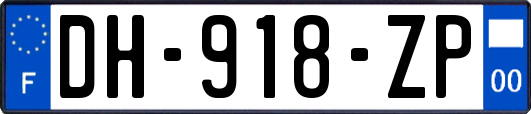 DH-918-ZP