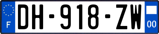 DH-918-ZW