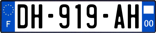 DH-919-AH