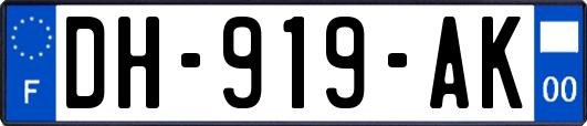 DH-919-AK