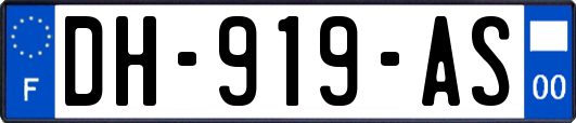 DH-919-AS