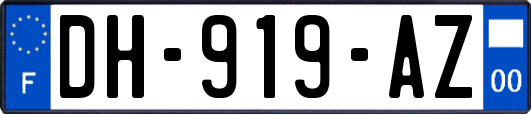 DH-919-AZ