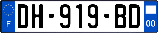DH-919-BD