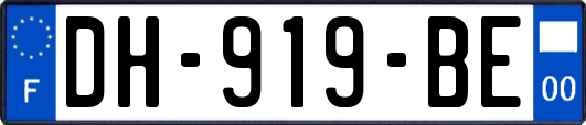 DH-919-BE