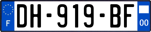 DH-919-BF