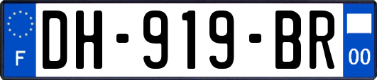 DH-919-BR