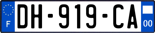 DH-919-CA