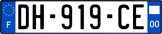 DH-919-CE