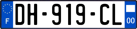 DH-919-CL